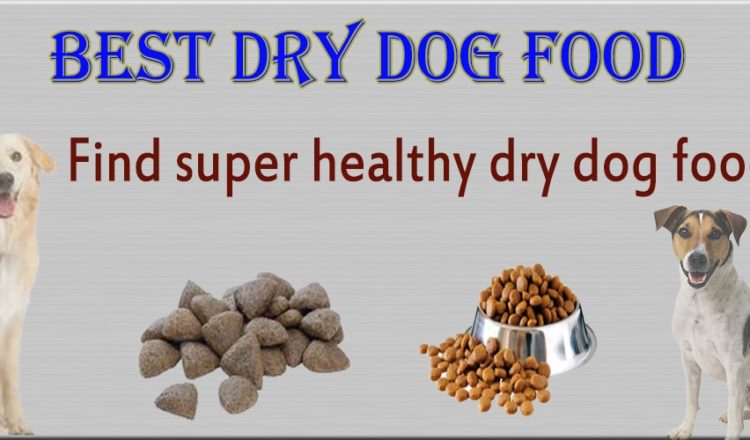 Best dry dog food