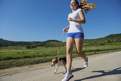 exercise is best for pets