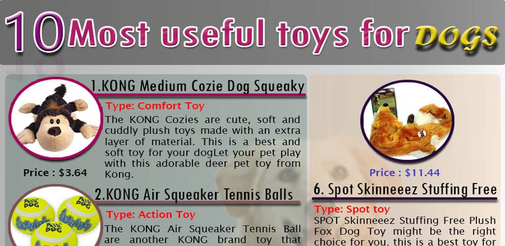 10 most useful toys for dog