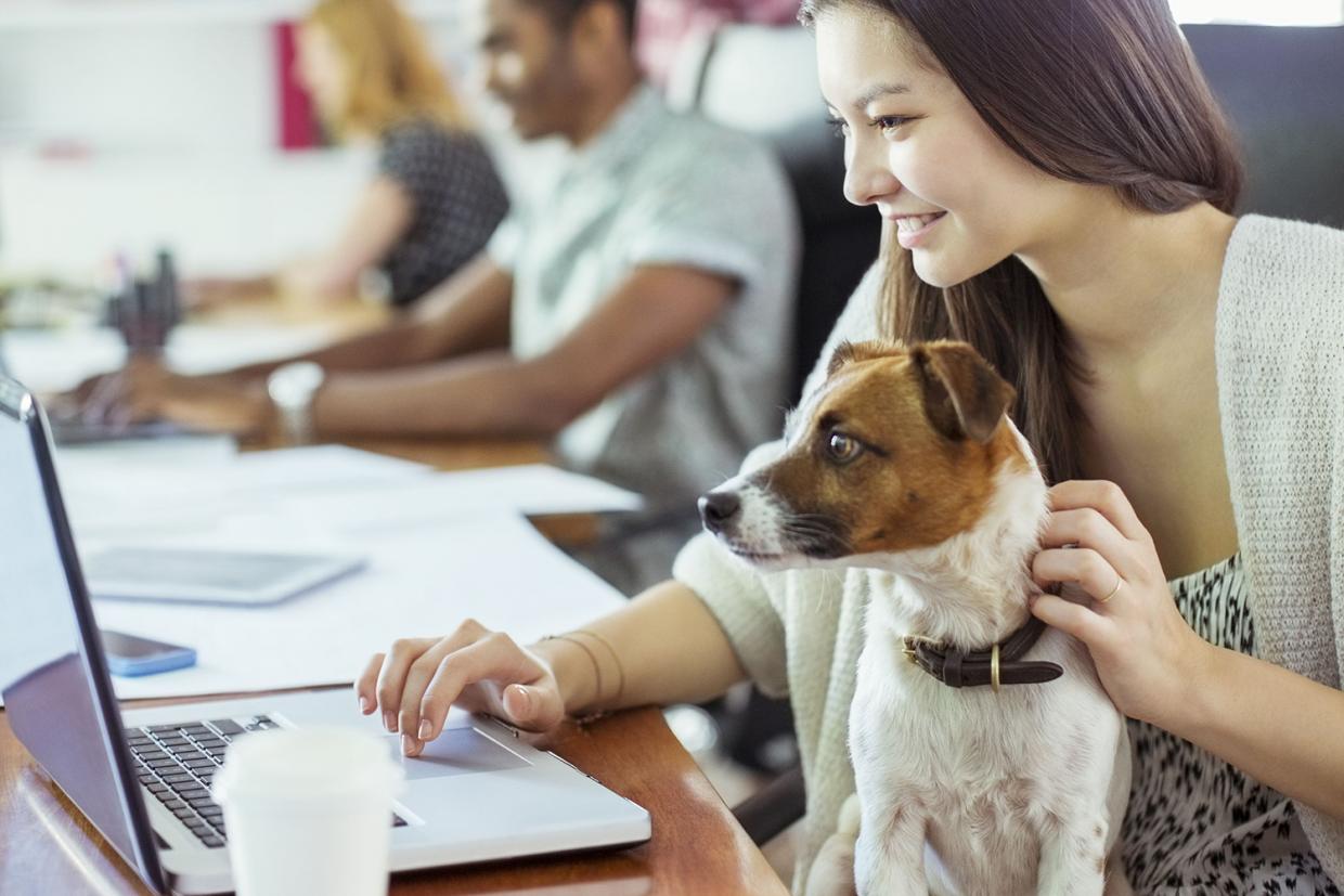 dogs- can be good for your health at work