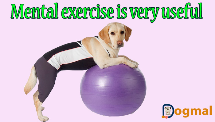 mental exercise is very useful mental exercise is very useful