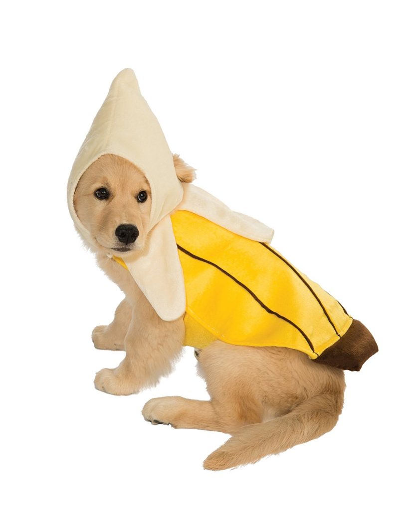 Banana Dog Costume