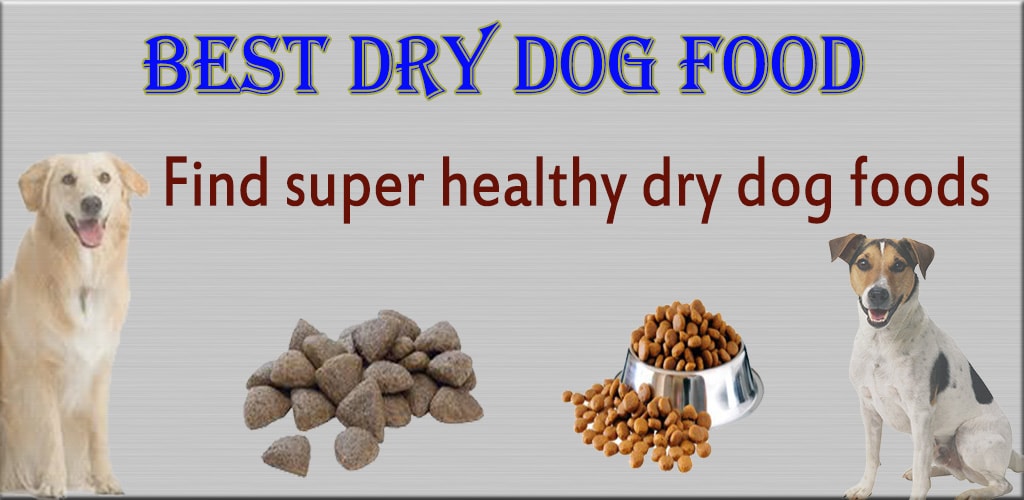 Best dry dog food