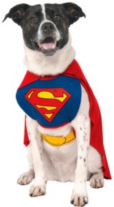 Superman Dog Costume dogmal
