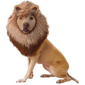 Animal Planet Pet Lion Costume