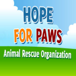 hope for paws