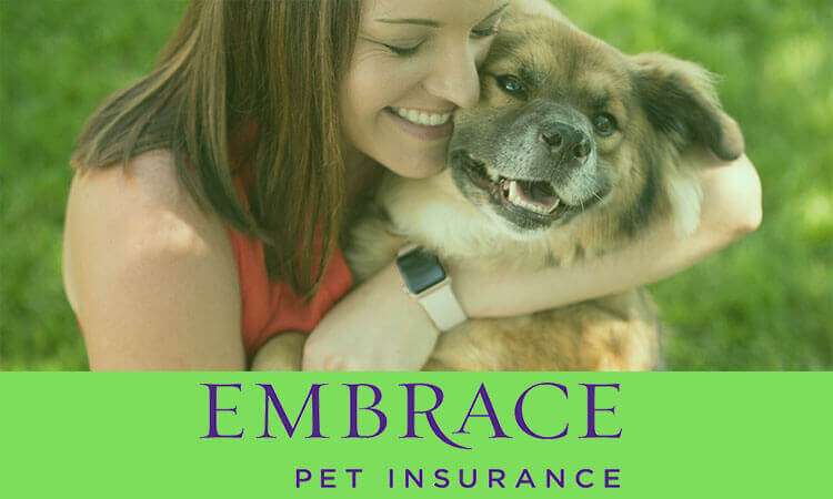 Embrace pet insurance