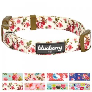 Blueberry-Pet-Spring-Scent-Floral Blueberry-Pet-Spring-Scent-Floral