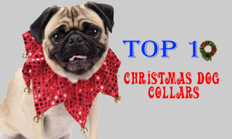 Christmas dog collars