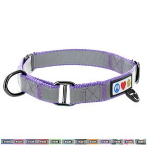 Pawtitas-Reflective-Dog-Collar-Martingale-Dog-Collar Pawtitas-Reflective-Dog-Collar-Martingale-Dog-Collar