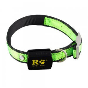 Royal-Wise-Led-Illumination-Nylon-Dog-Collar Royal-Wise-Led-Illumination-Nylon-Dog-Collar