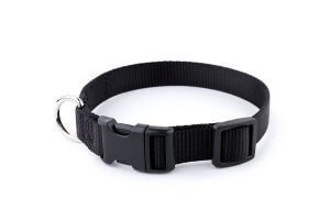 Sofi's-Dog-Collar Sofi's-Dog-Collar