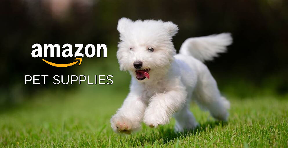 Dog Supplies On Amazon