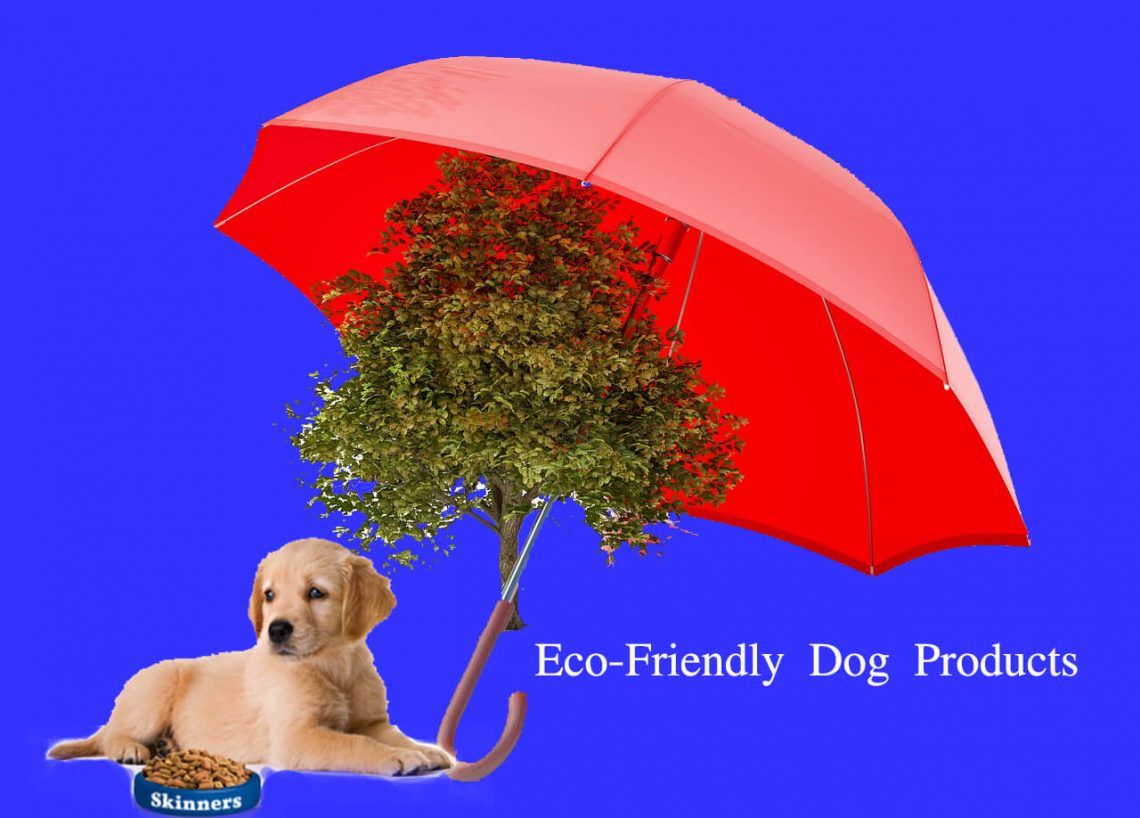 Eco-Friendly Dog Products