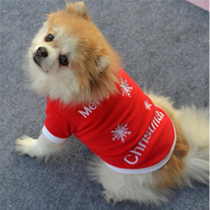 Pet Christmas Outfit