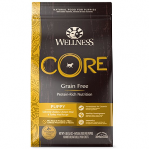 Wellness CORE Natural Grain Free Dry Dog Food