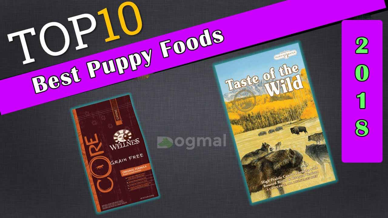 Best Puppy Foods