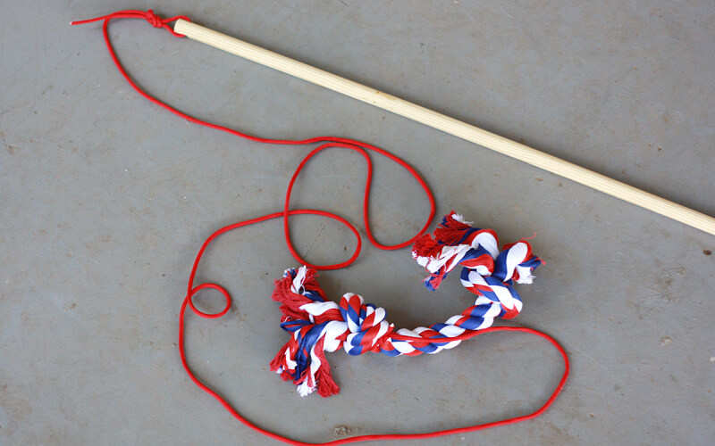 DIY Flirt Pole