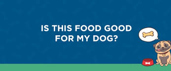 is this food good for my dog