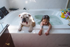 Bulldog in bath