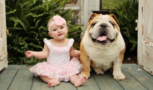 Bulldog with cute baby