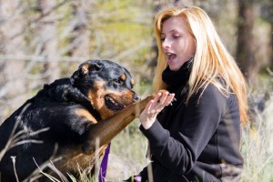 Rottweiler dog friends