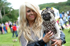 Pug dog breder